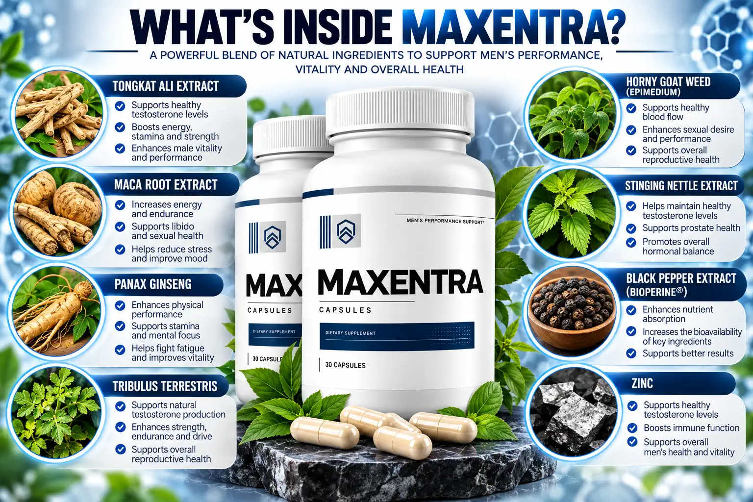 Brand infographic titled What's inside Maxentra showing a herbal ingredient list